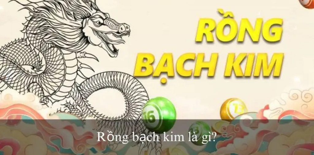 Rồng bạch kim 666