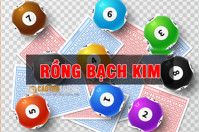 Các bước để anh em có thể tham gia Rồng bạch kim tại Bj88